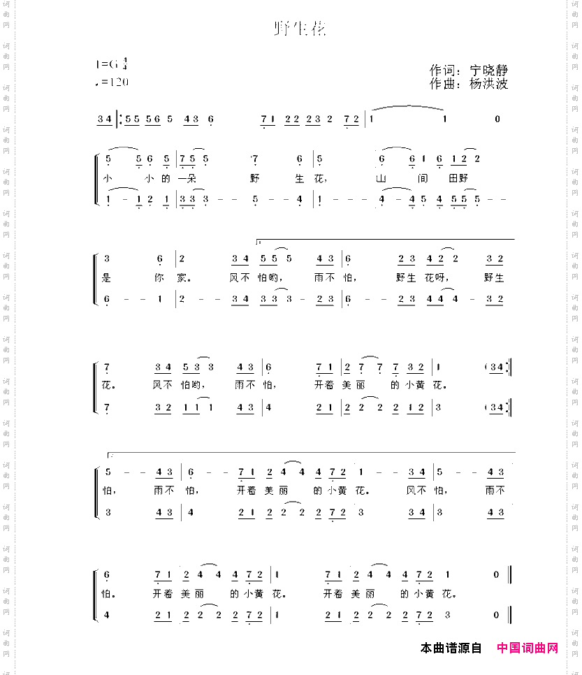 野生花
