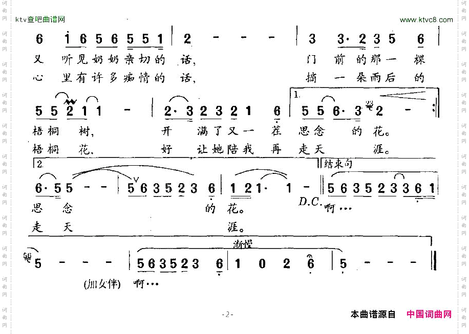 梧桐花