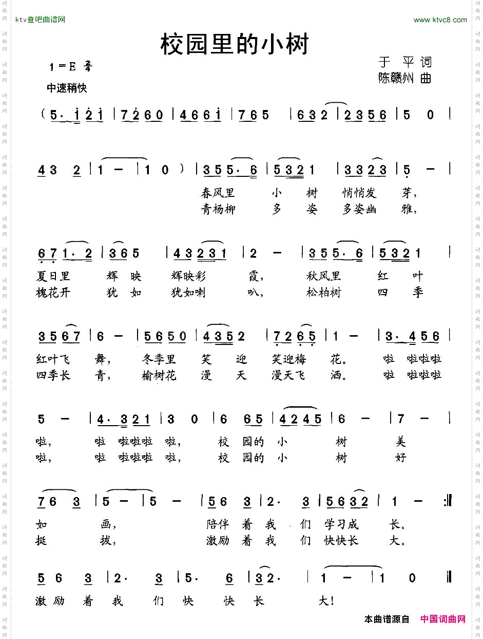 校园里的小树