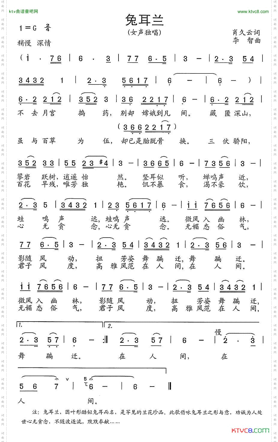 兔耳兰