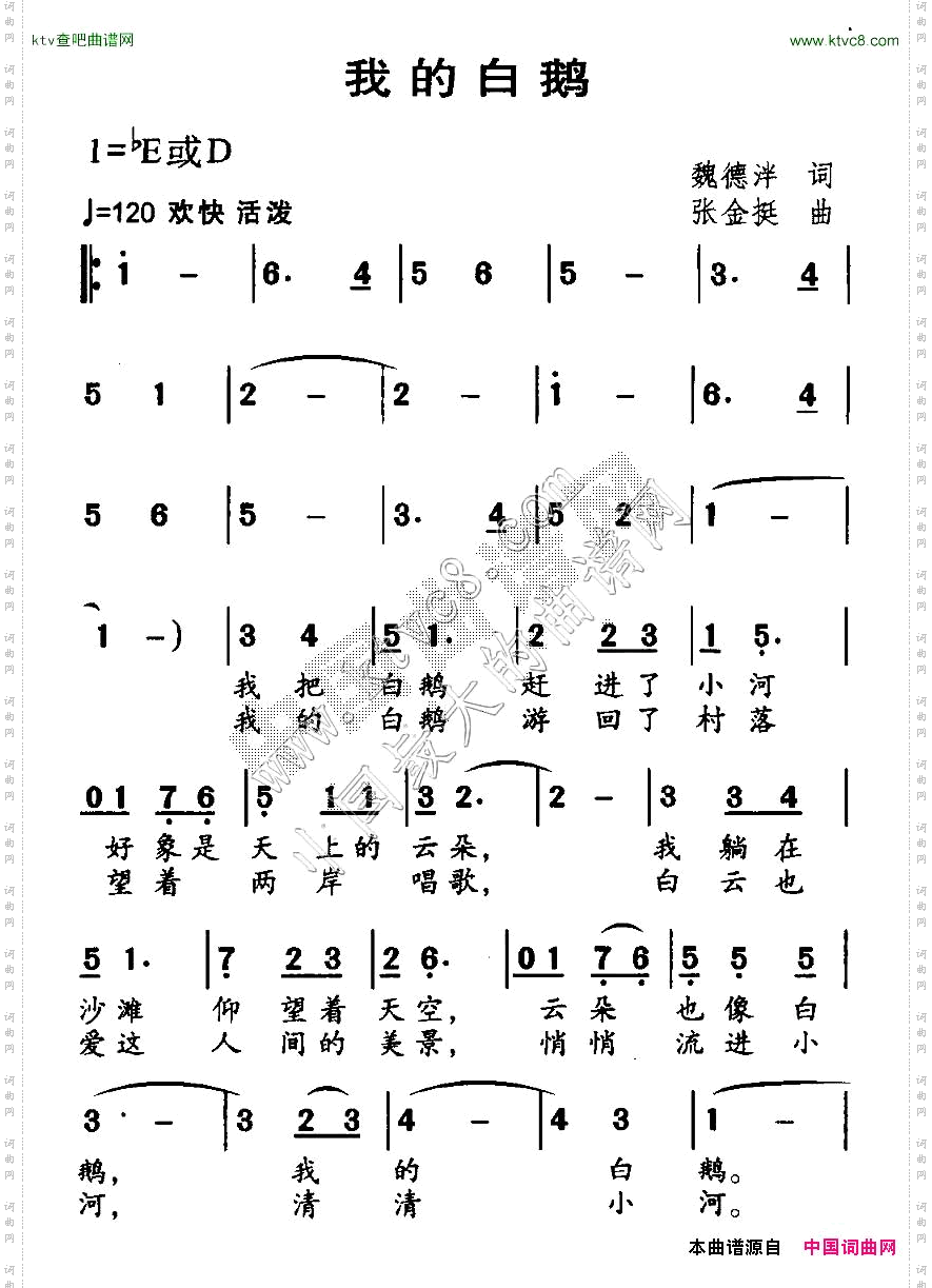 我的白鹅