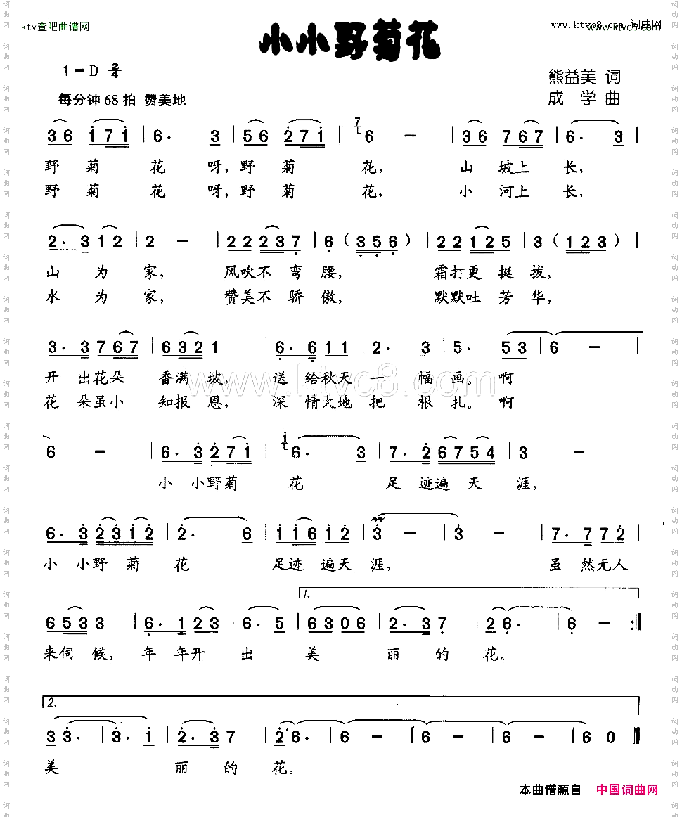 小小野菊花
