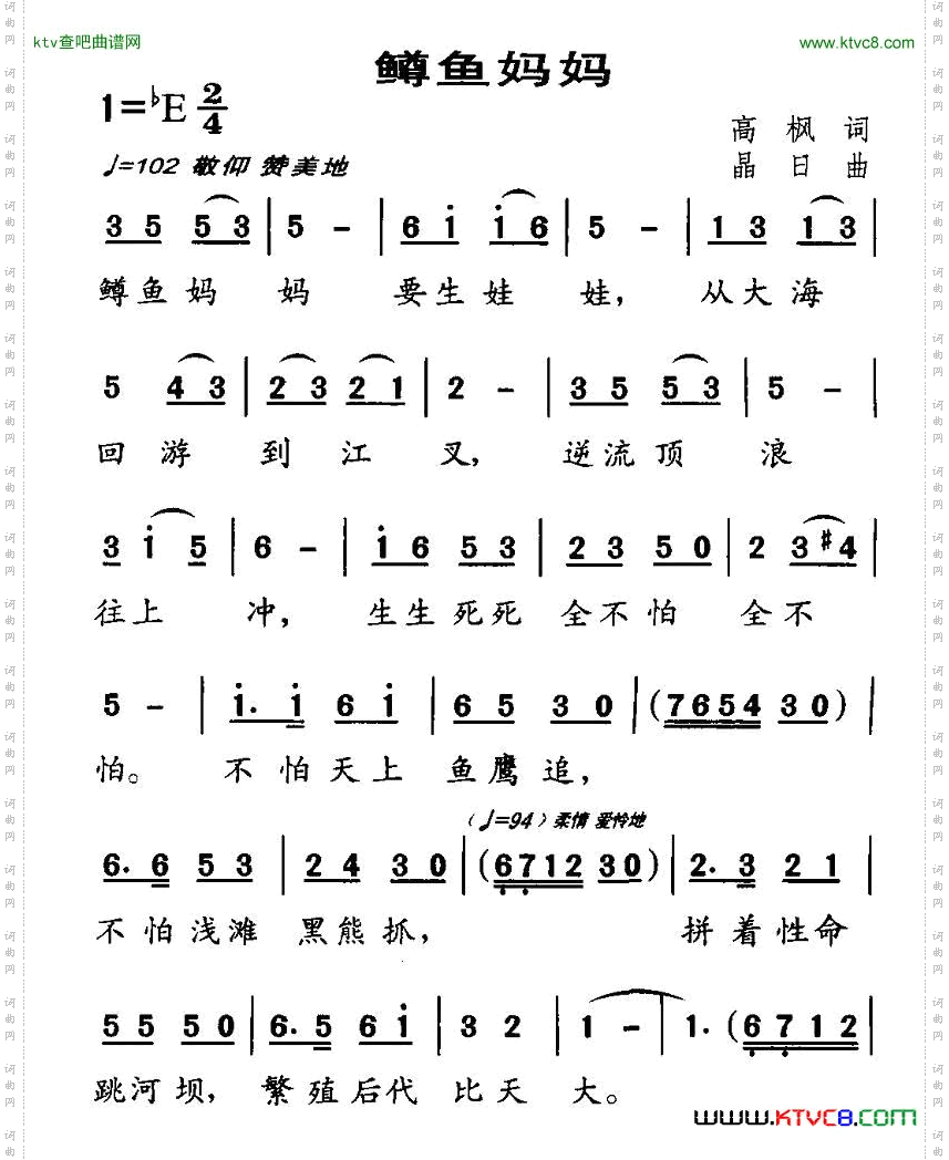 鳟鱼妈妈