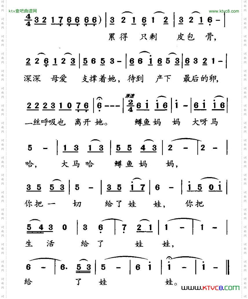 鳟鱼妈妈
