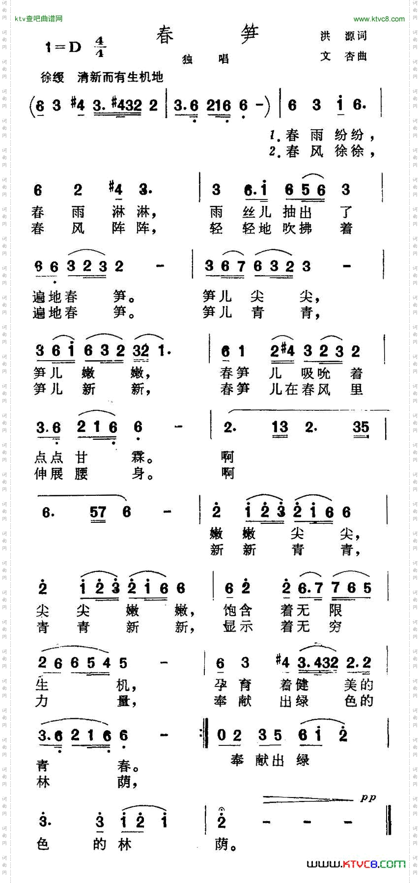 春笋