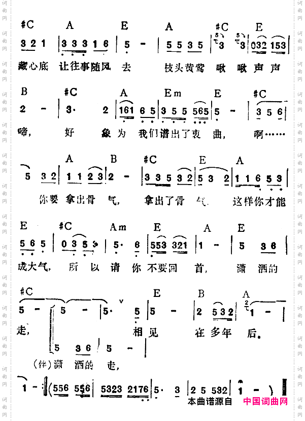 不要再回首