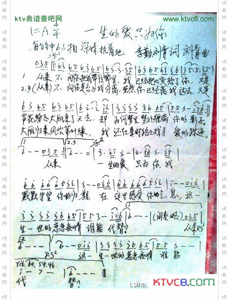 一生的爱只为你