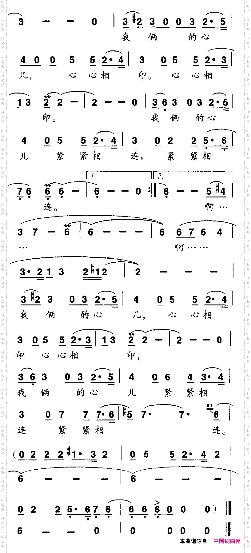 送你一棵美丽的水仙