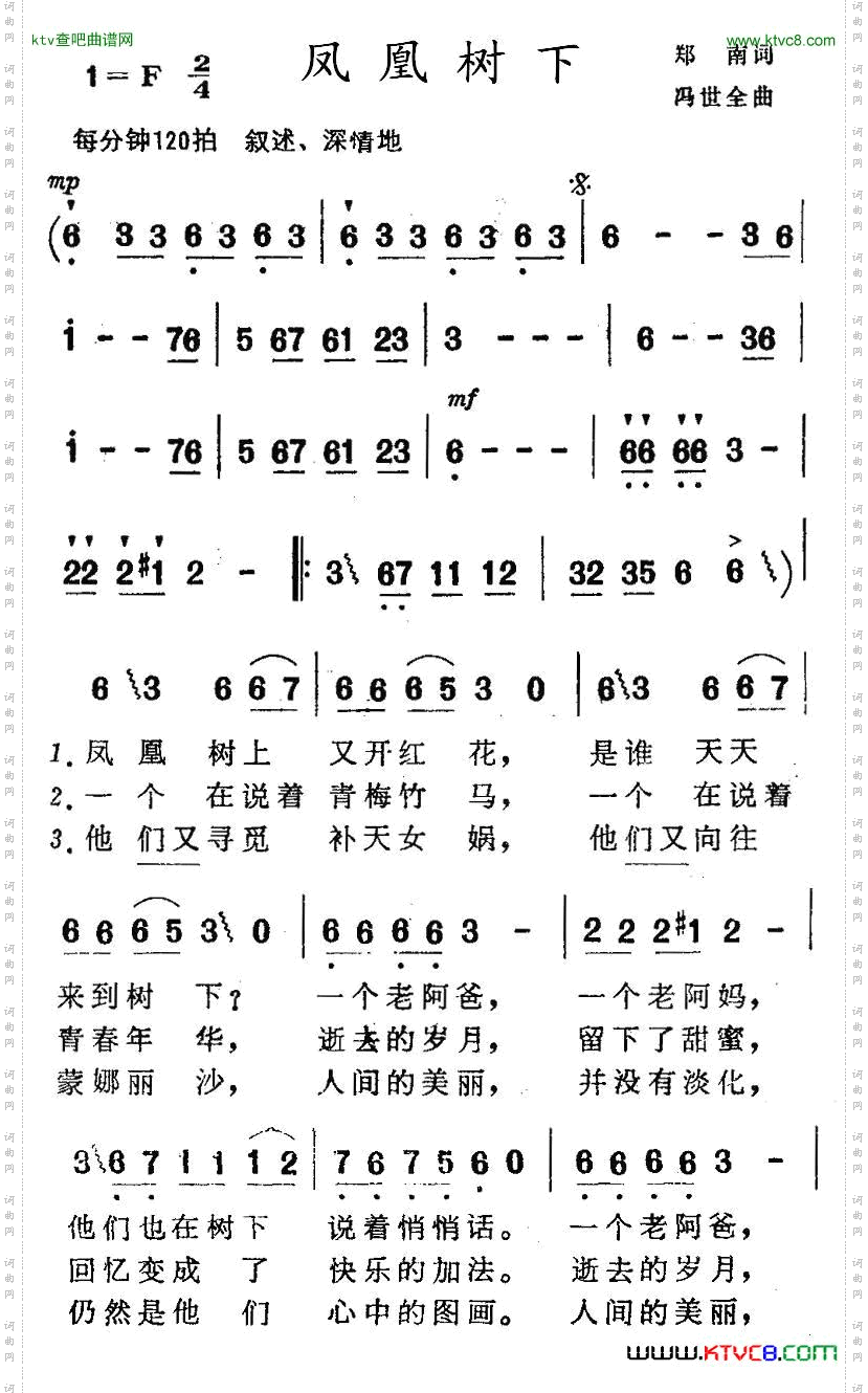 凤凰树下