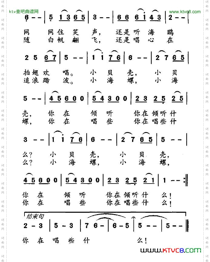 小贝壳，小海螺