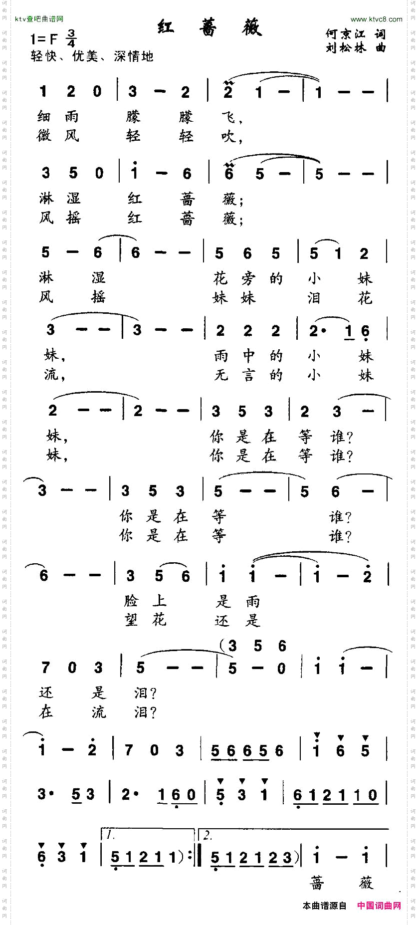红蔷薇