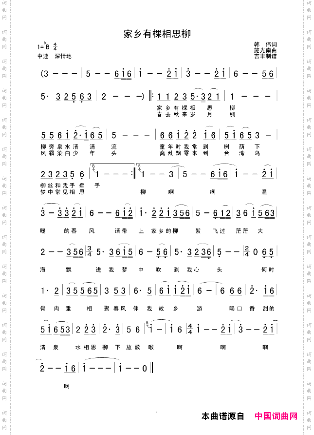 家乡有棵相思柳