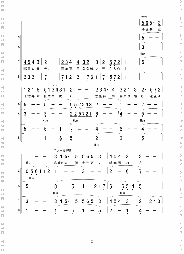 春风吹绿山岗