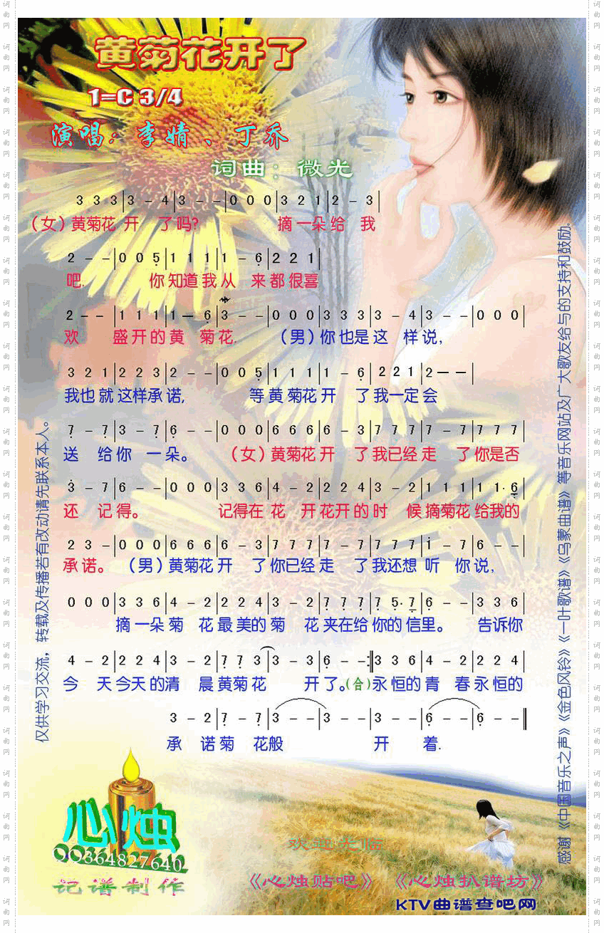 黄菊花开了