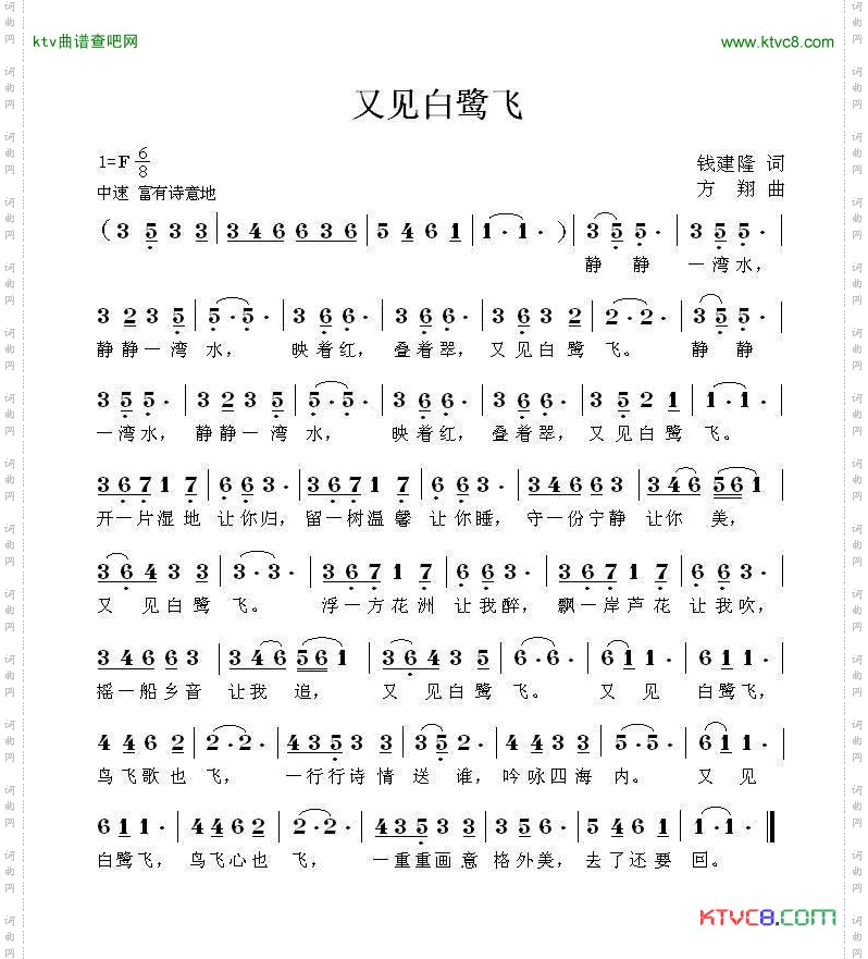 又见白鹭飞