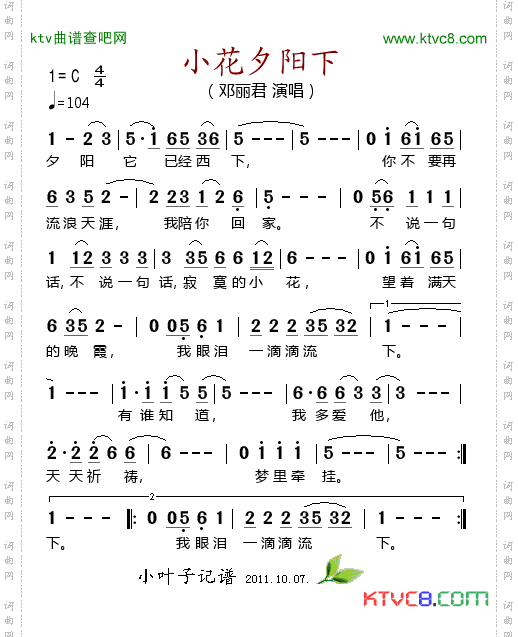小花夕阳下