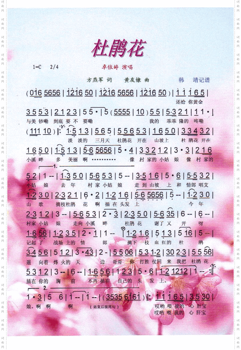 杜鹃花【彩谱】