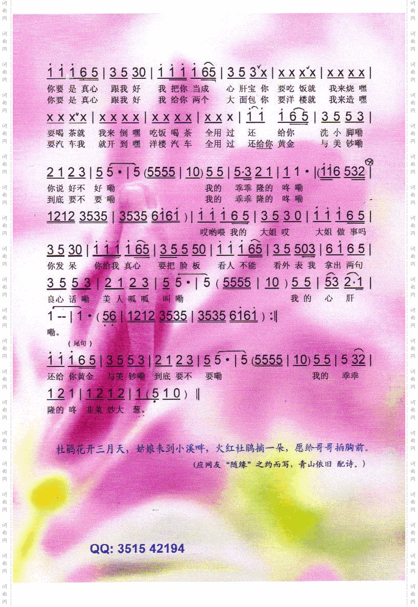 杜鹃花【彩谱】