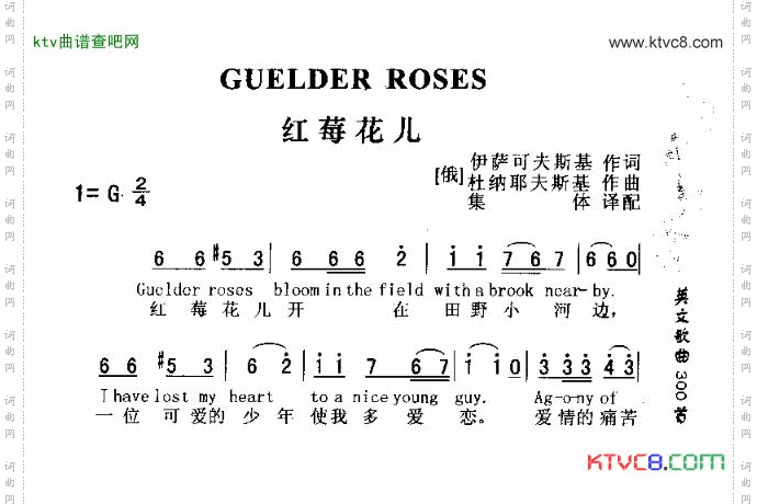 GUUELDERROSES红莓花儿开