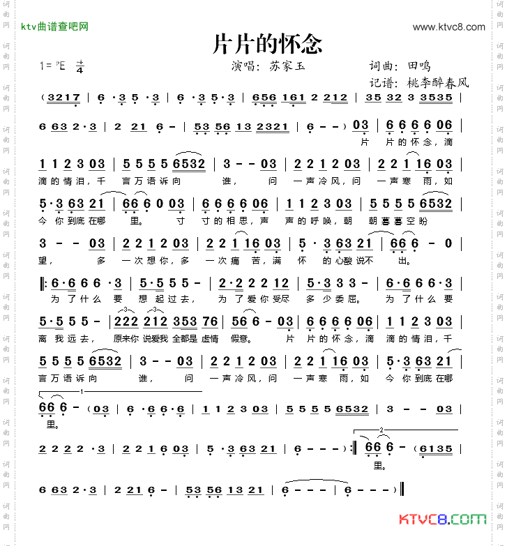 片片的怀念