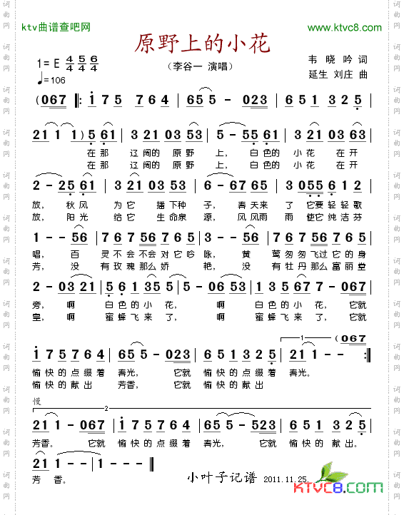 原野上的小花