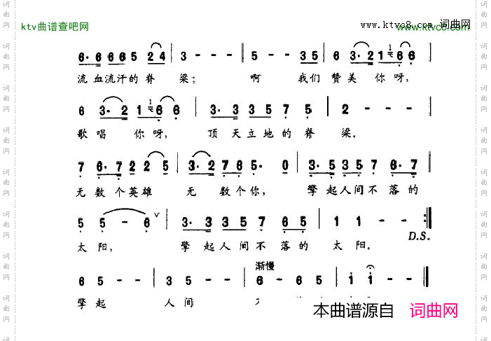 共和国的脊梁