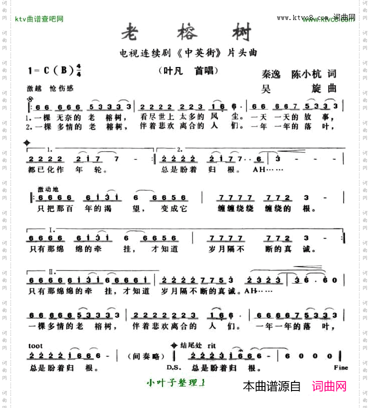 老榕树