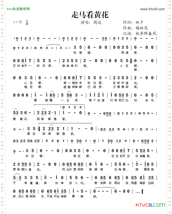 走马看黄花
