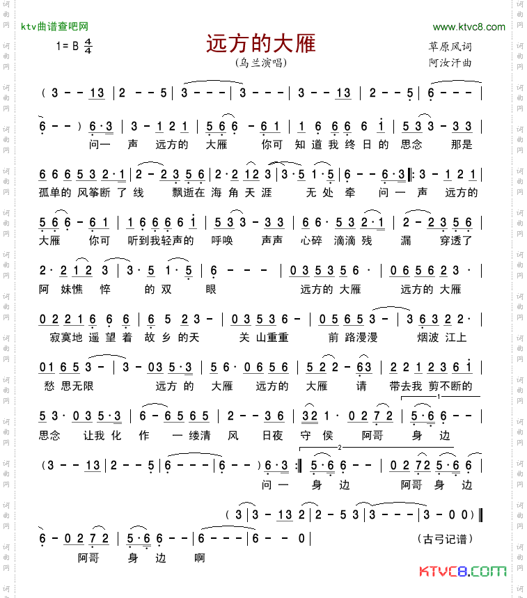 远方的大雁