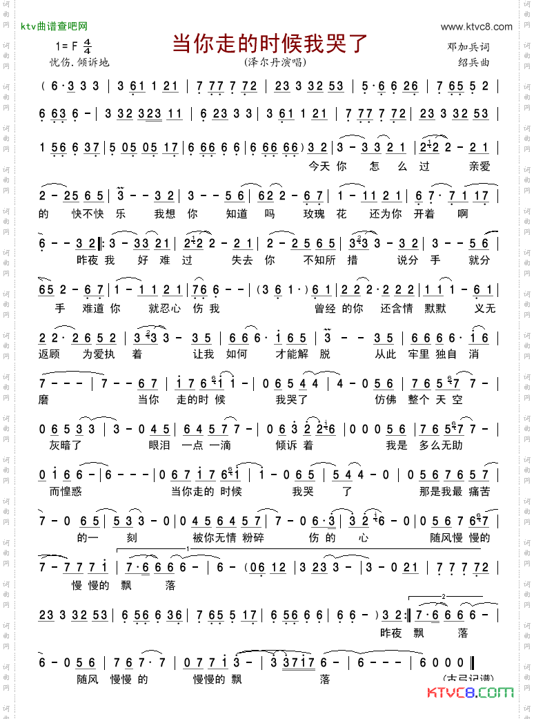 当你走的时候我哭了