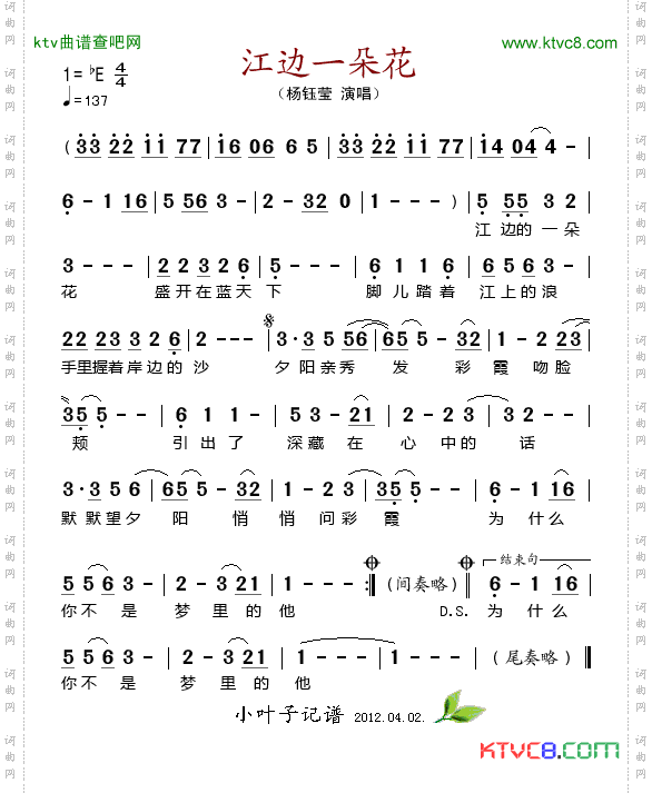江边一朵花