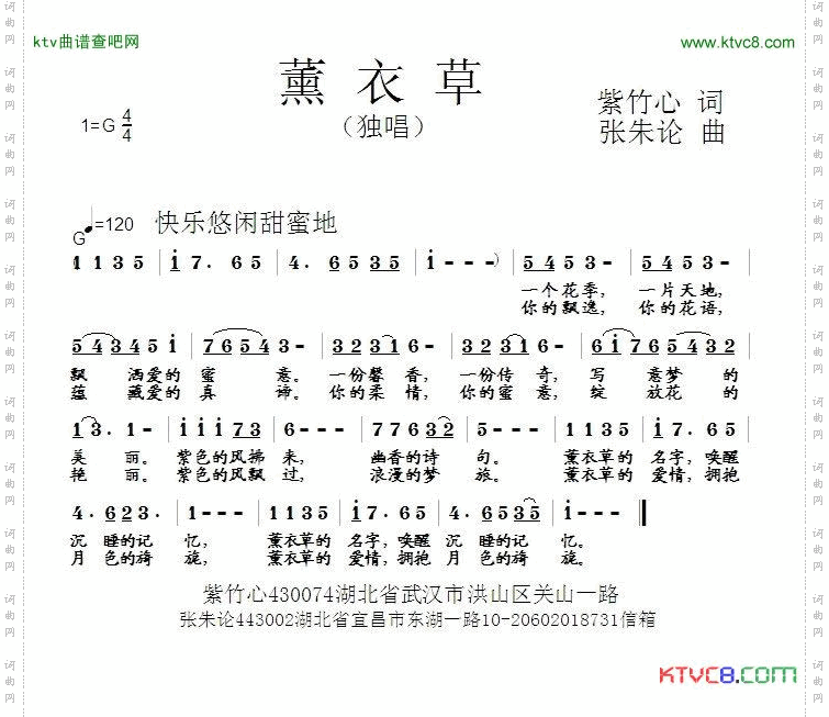 薰衣草简谱