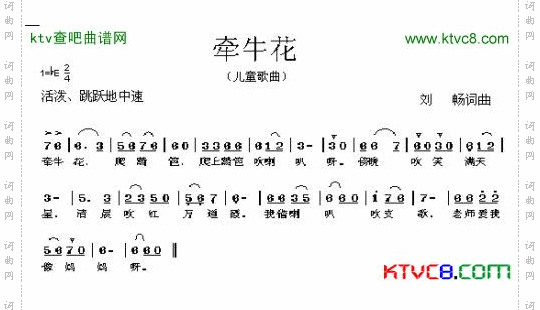 牵牛花