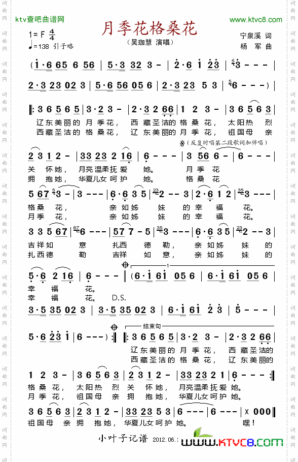 月季花格桑花