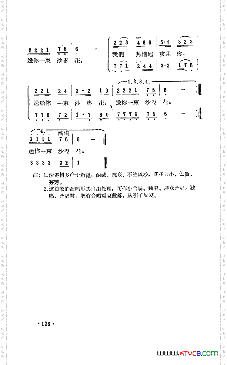 送你一束沙枣花