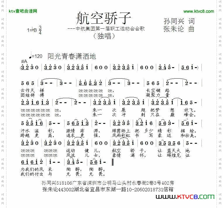 航空骄子