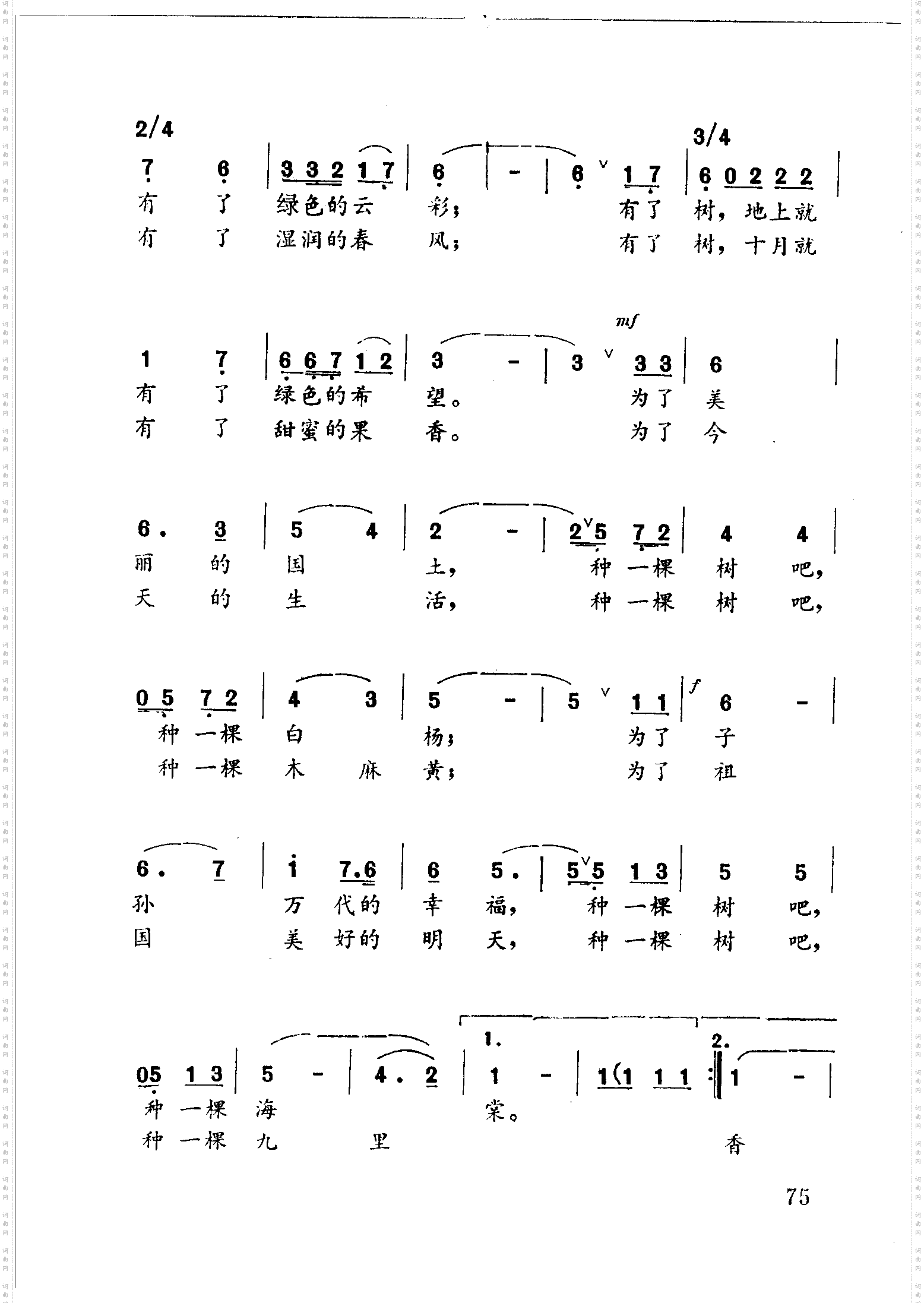 种一棵树吧，朋友