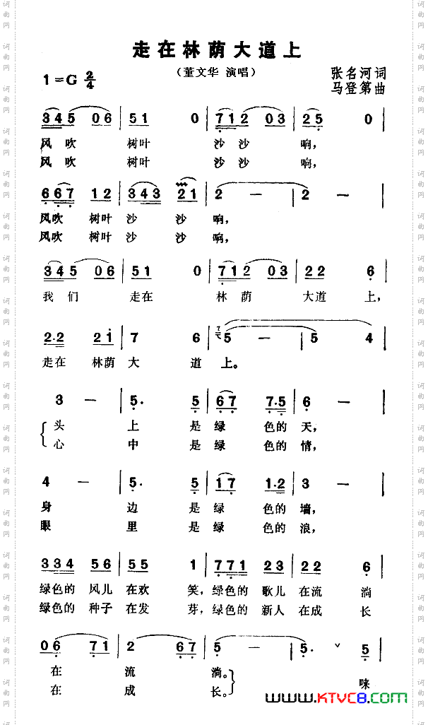 走在林荫大道上