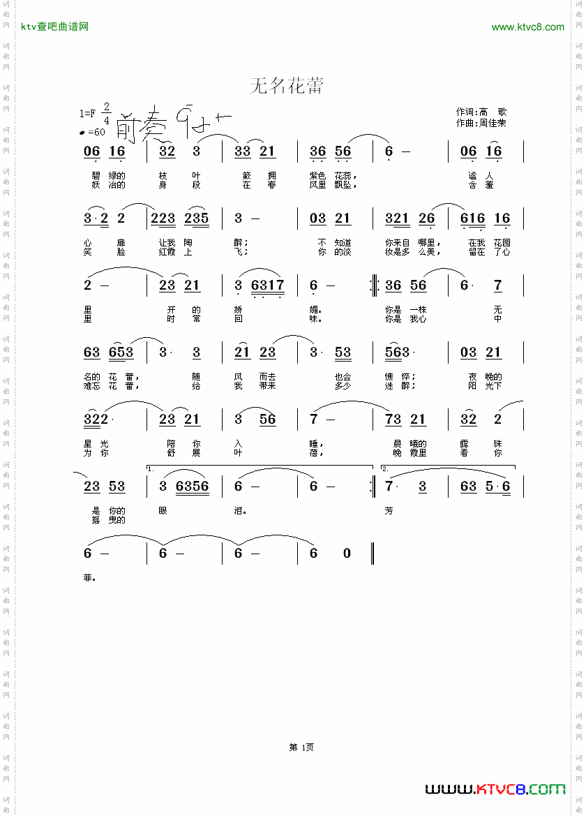 无名花蕾