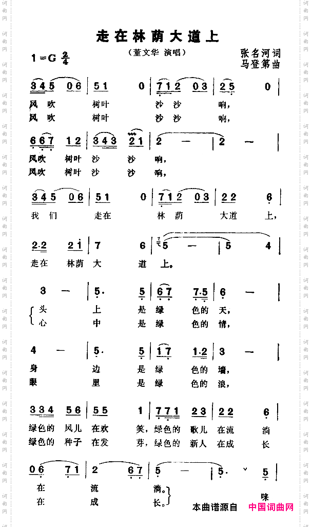 走在林荫大道上