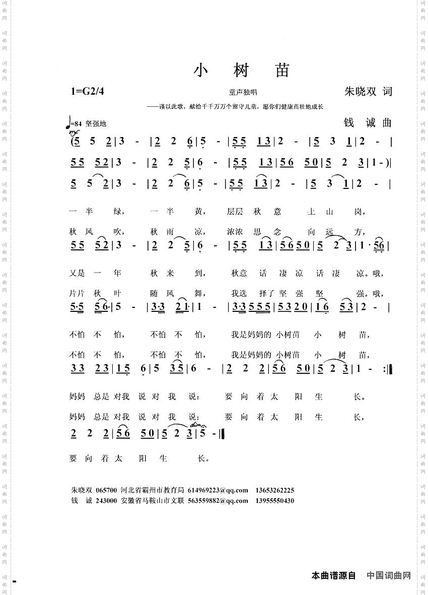 小树苗
