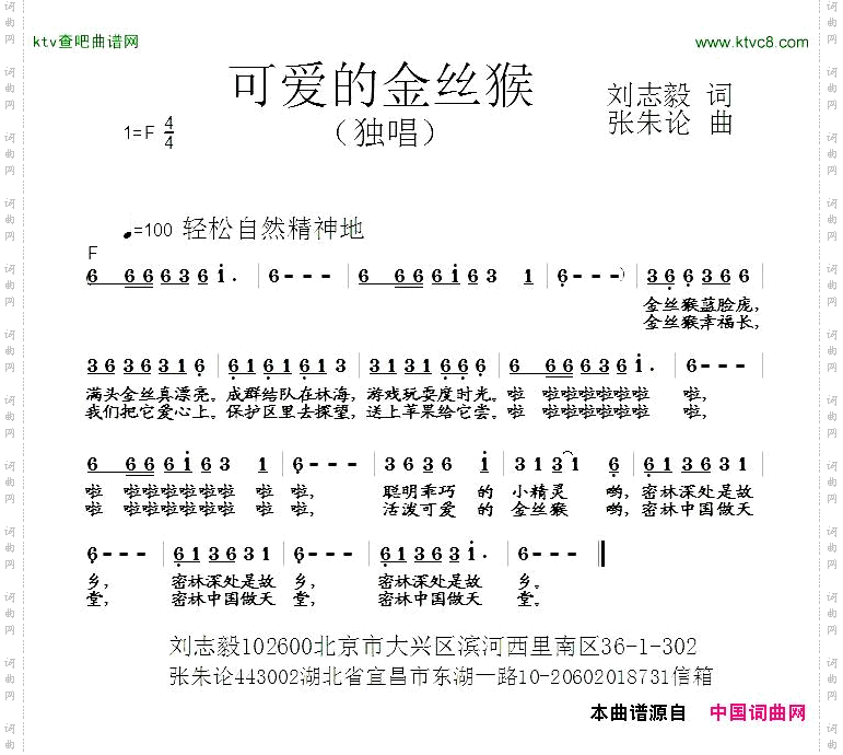 美丽的金丝猴