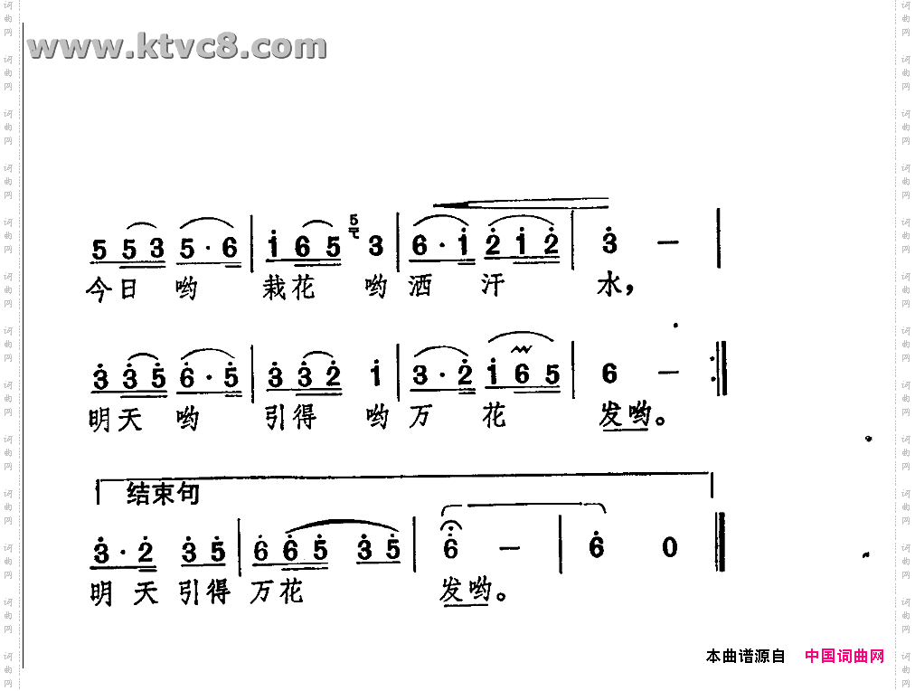 精神文明一枝花