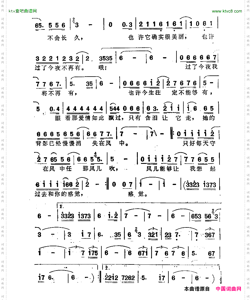 她的背影