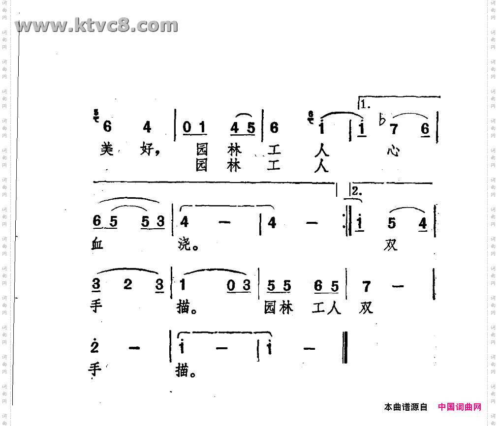 我走过林荫大道