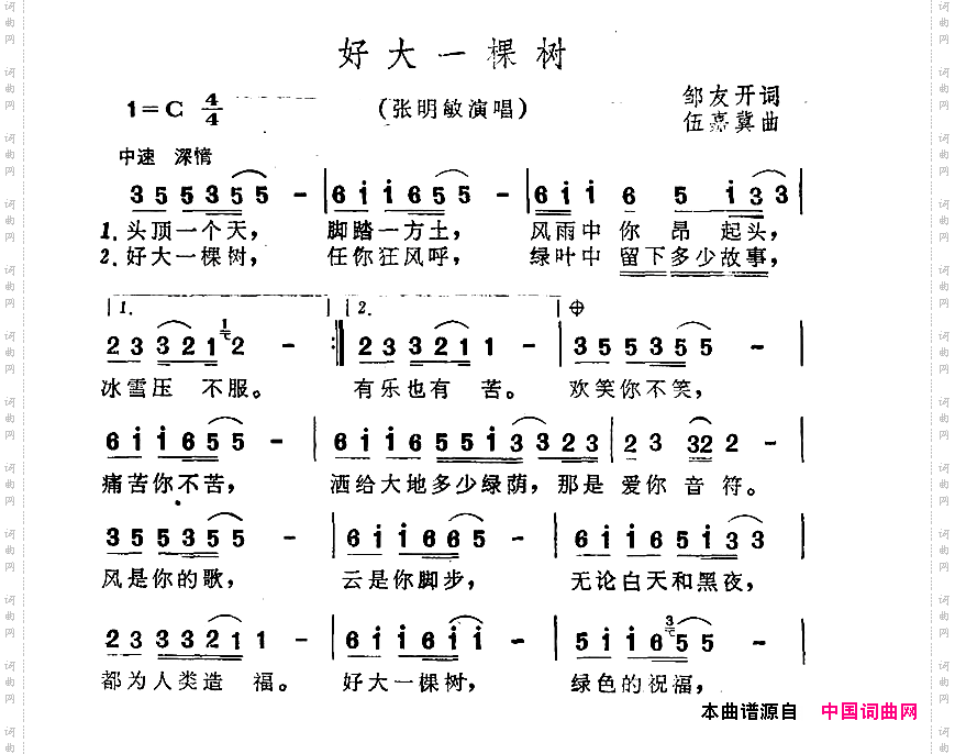 好大一棵树