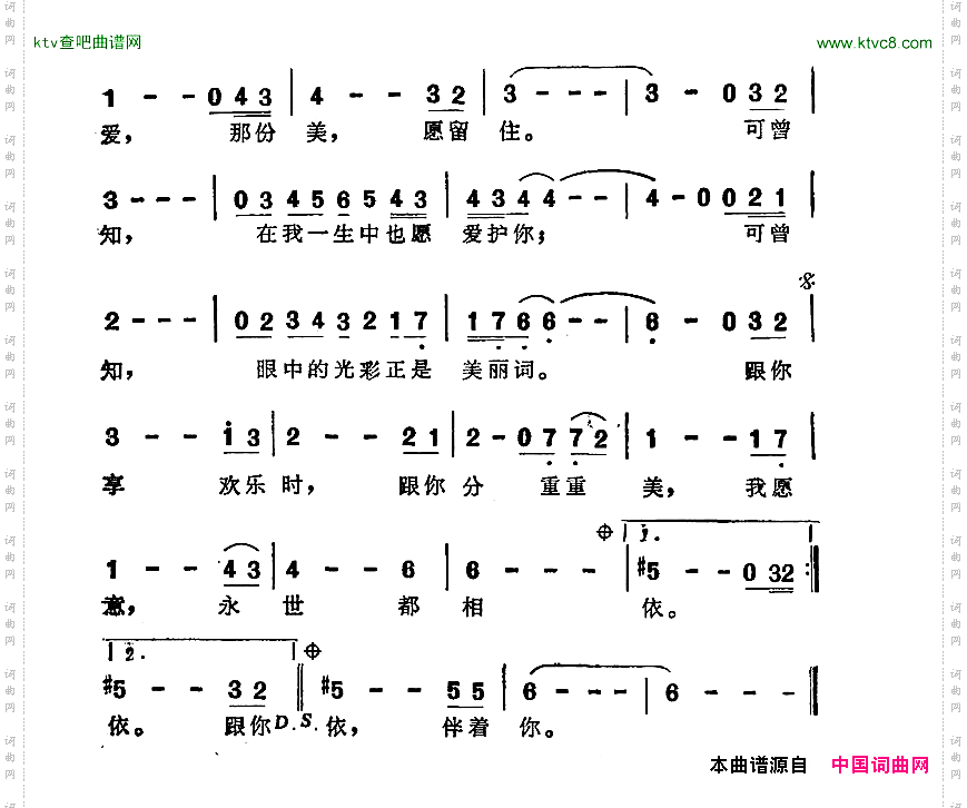 一片痴