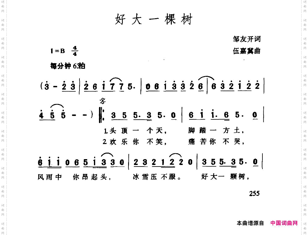 好大一棵树