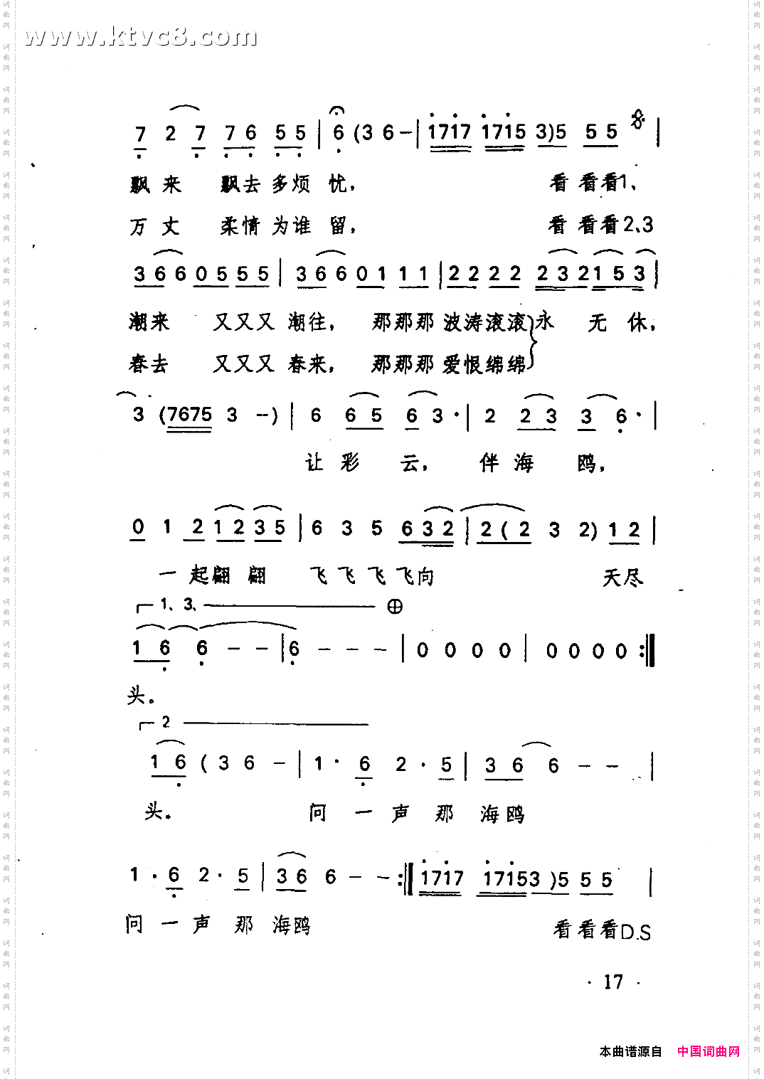 海鸥飞处彩云飞《海鸥飞处彩云飞》主题曲