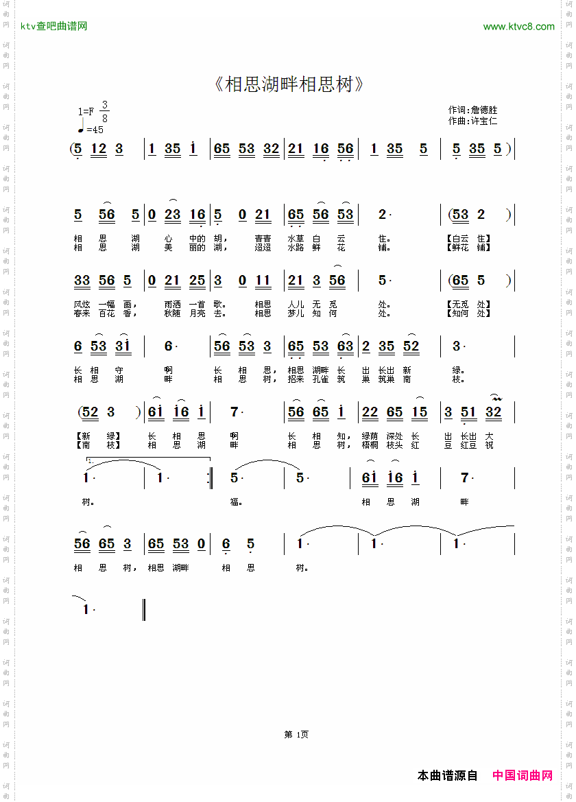 相思湖畔相思树